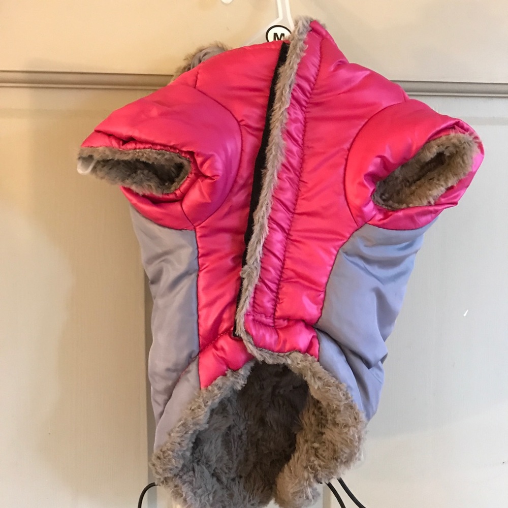 Dog 🐶 Puppy Fluffy Coat